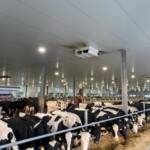 2020年の秋に完成したロボット牛舎2